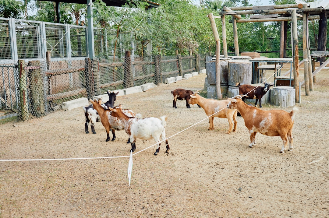 Teşhis ve laboratuvar ekipmanları